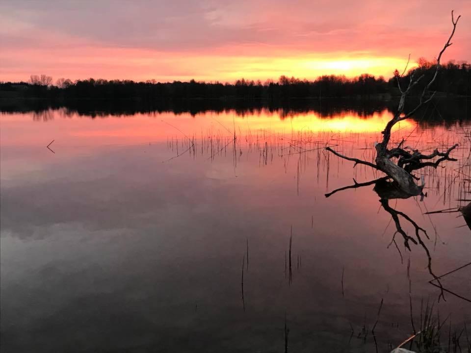 Agroturystyka Na Skarpie Wizajny Extérieur photo